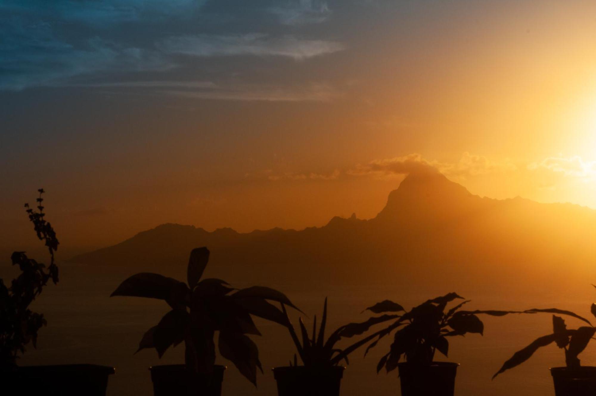Apartament Vue Sur Moorea Punaauia  Zewnętrze zdjęcie